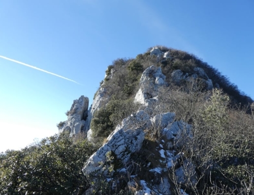 MONTE CASTELLO DI GAINO – 866m