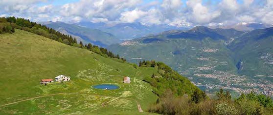 CAI Castiglione - Monte Agolo