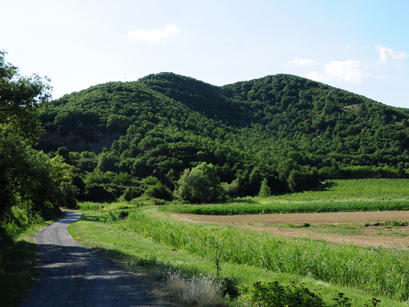 CAI Castiglione - Sentiero Cava Monte Croce